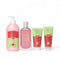 Kit Frescura Jugosa Melancia
