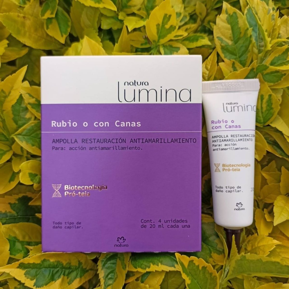 Lumina Ampollas de restauración cabello rubio o con canas - Beaute Florale