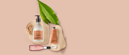 Kit Castaña Ekos