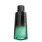 Malbec Vert - Beaute Florale