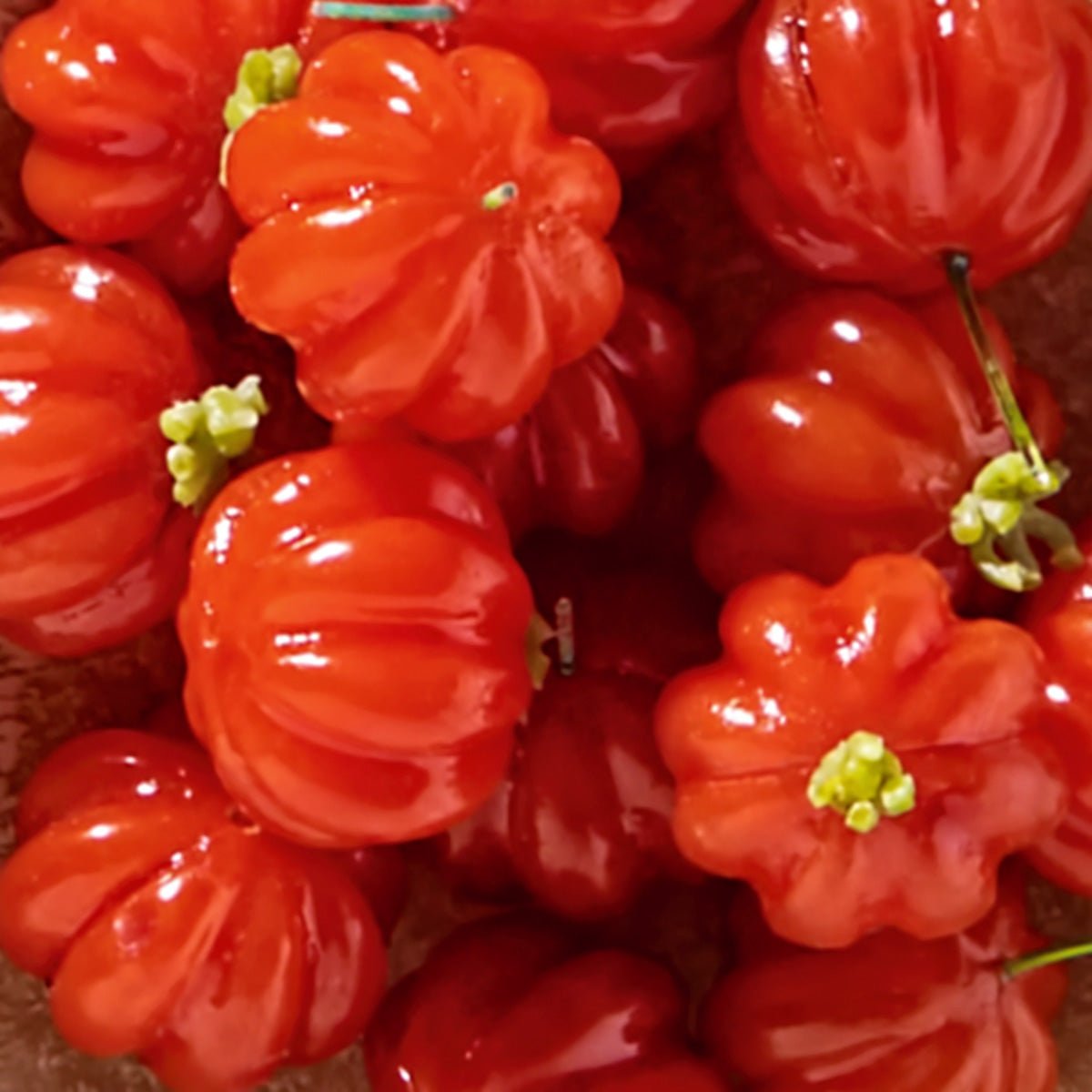 Natura Locion Femenina Ekos Frescor Pitanga  Fragancia Femenina